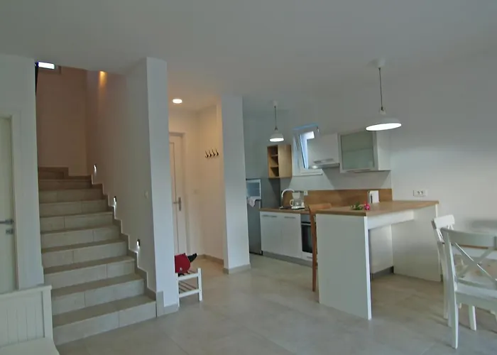 Papalina 3 *